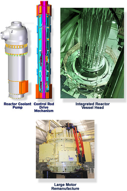 Reactor Coolant Pumps